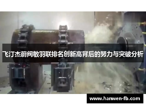 飞汀杰蔚阀敏羽联排名创新高背后的努力与突破分析 飞汀杰蔚阀敏羽联排名创新高背后的努力与突破分析