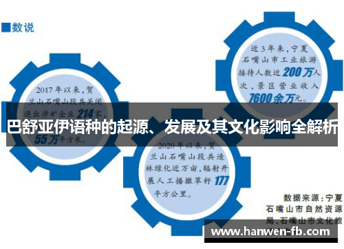 巴舒亚伊语种的起源、发展及其文化影响全解析