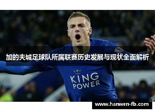 加的夫城足球队所属联赛历史发展与现状全面解析