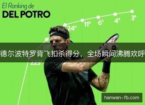 德尔波特罗背飞扣杀得分,全场瞬间沸腾欢呼 德尔波特罗背飞扣杀得分,全场瞬间沸腾欢呼